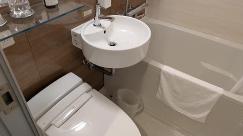 Ensuite bathroom toilet and tub