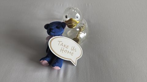 The Conrad mascot: 'Take me home!'