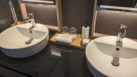 Modern double vanity