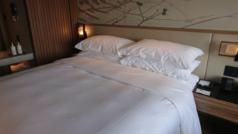 Room Interior