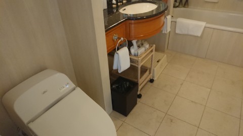 Bathroom interior.