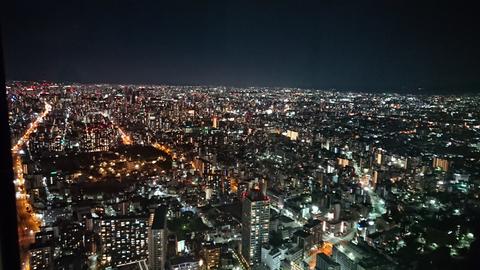 窓からの風景
